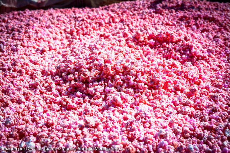 Material reciclable compactado en planta MORLIM